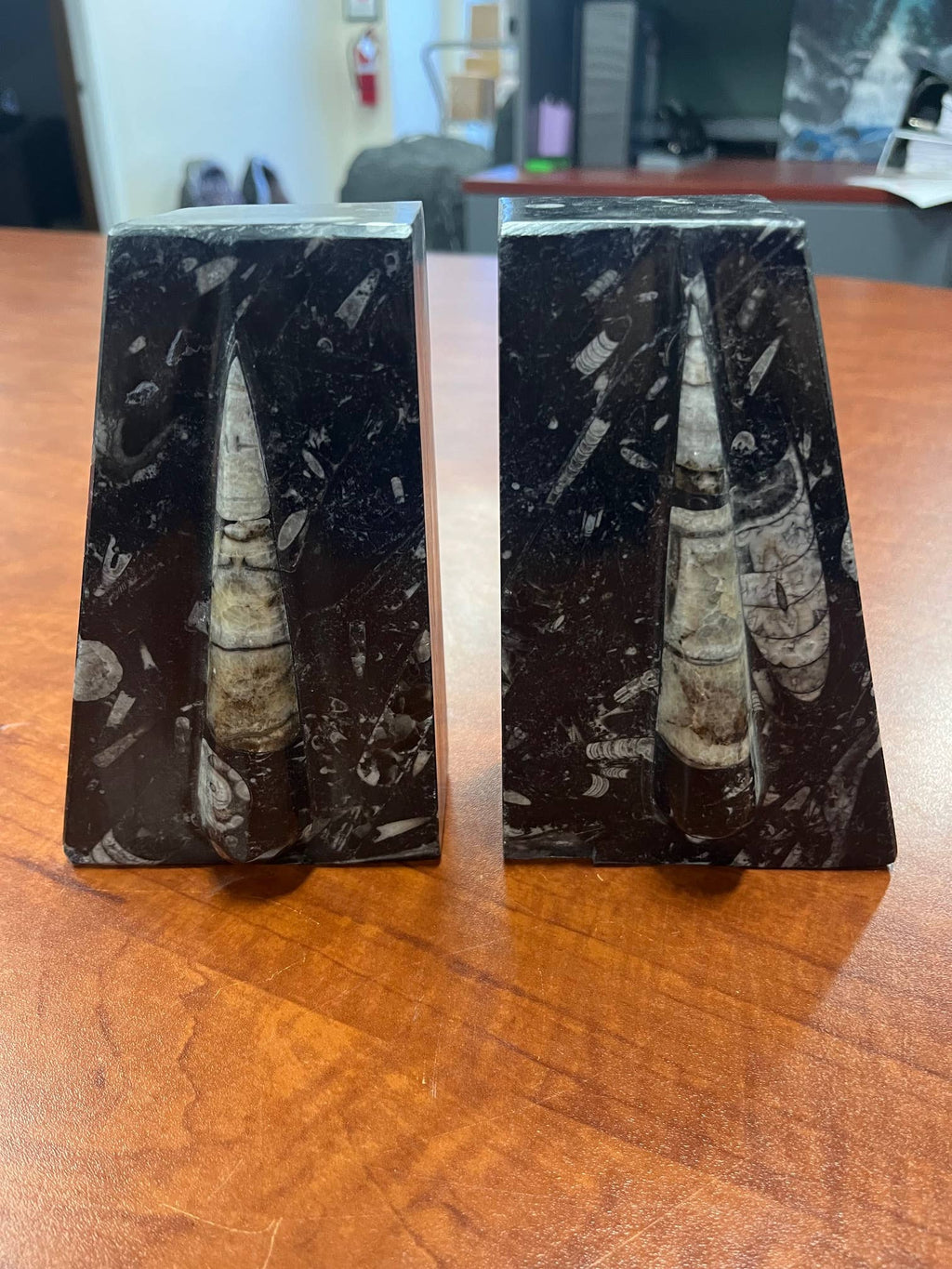 Large Orthoceras Bookends