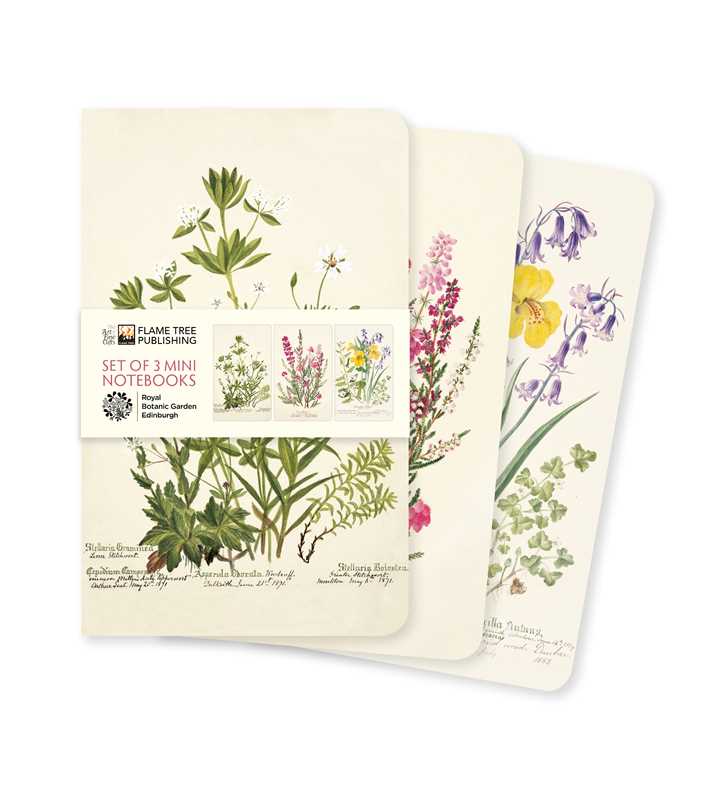 Royal Botanic Garden Edinburgh Set of 3 Mini Notebooks by
