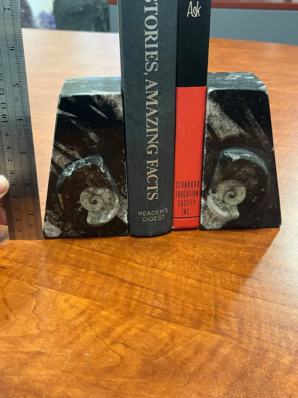 Small Ammonite Bookends