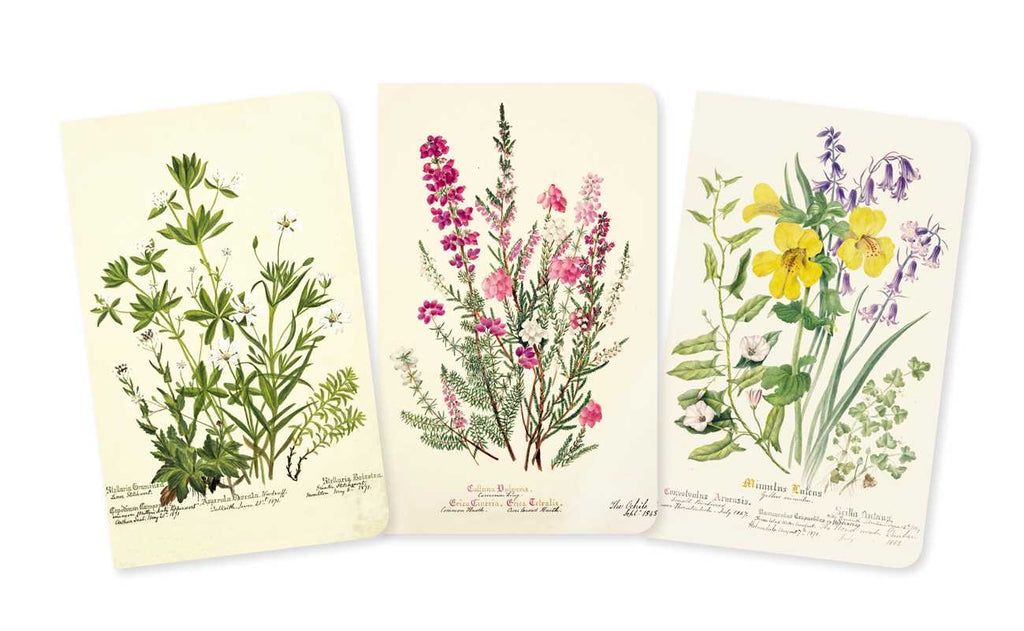 Royal Botanic Garden Edinburgh Set of 3 Mini Notebooks by