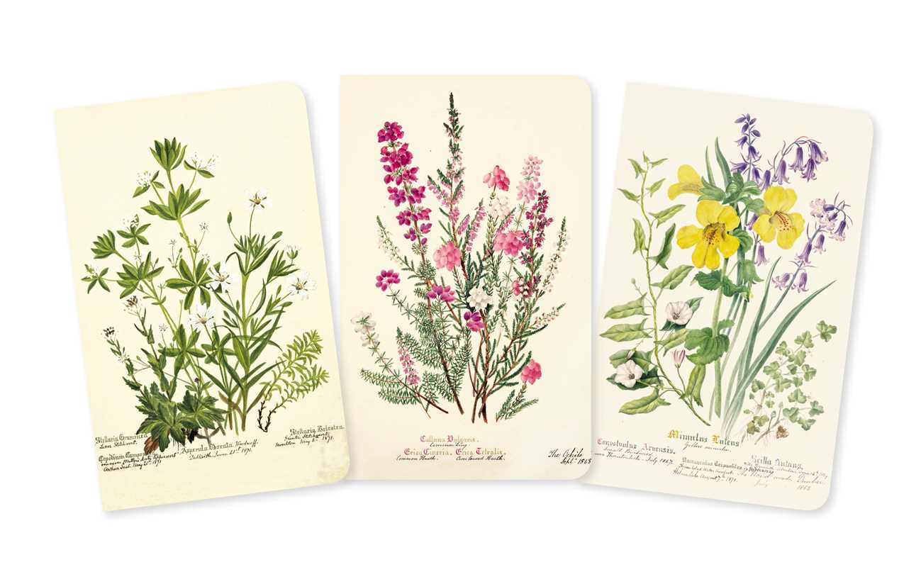 Royal Botanic Garden Edinburgh Set of 3 Mini Notebooks by
