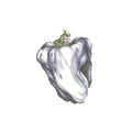 White Pepper