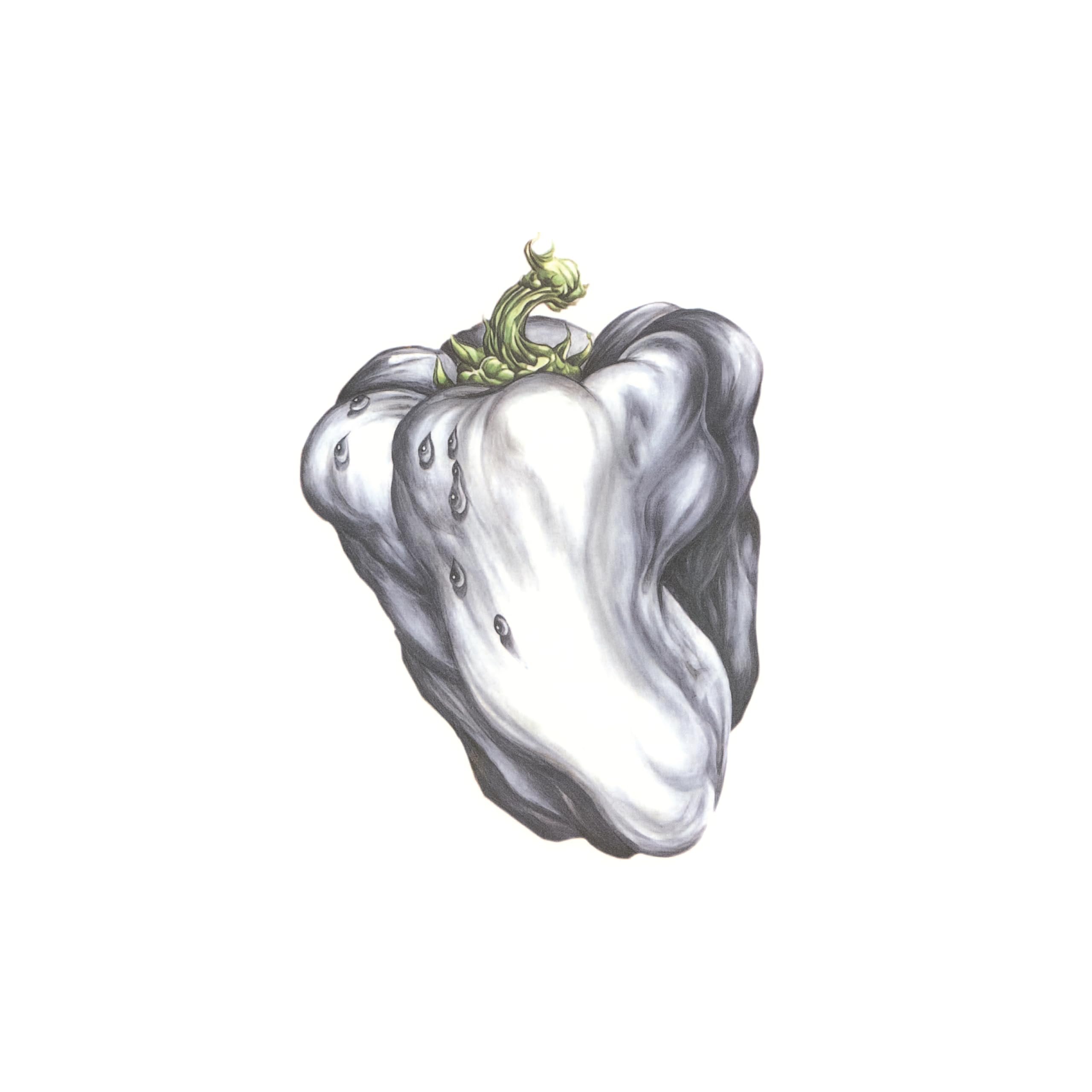 White Pepper