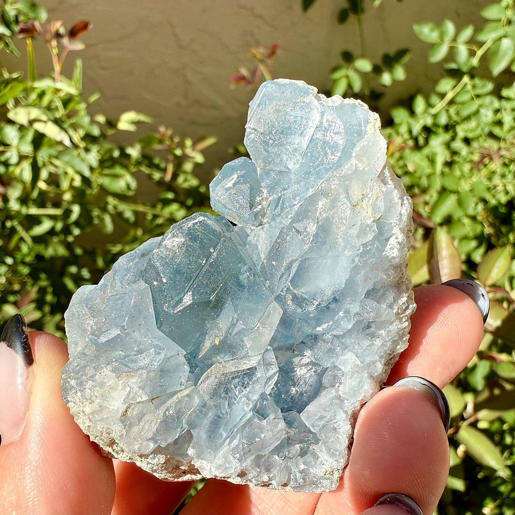 Celestite Cluster Specimens Grade A