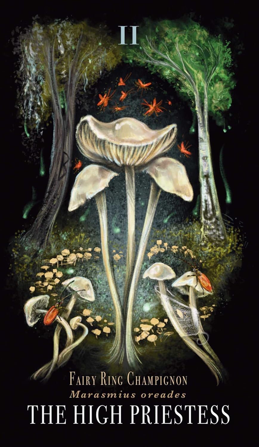 IN08