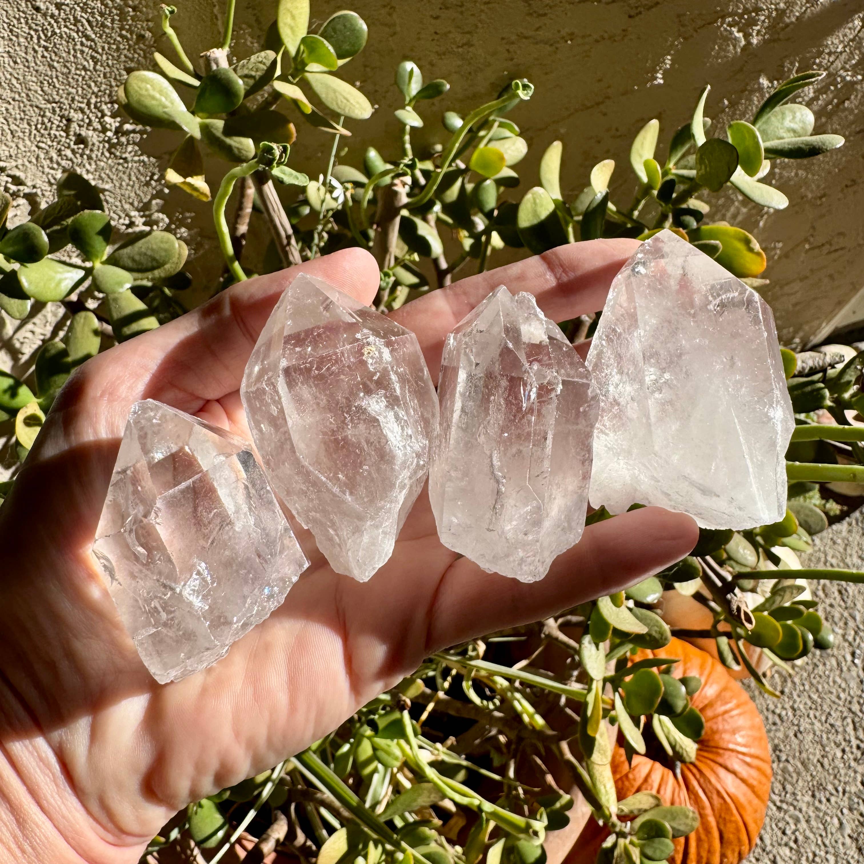 Clear Quartz Point - XL, Unpolished Natural Crystals
