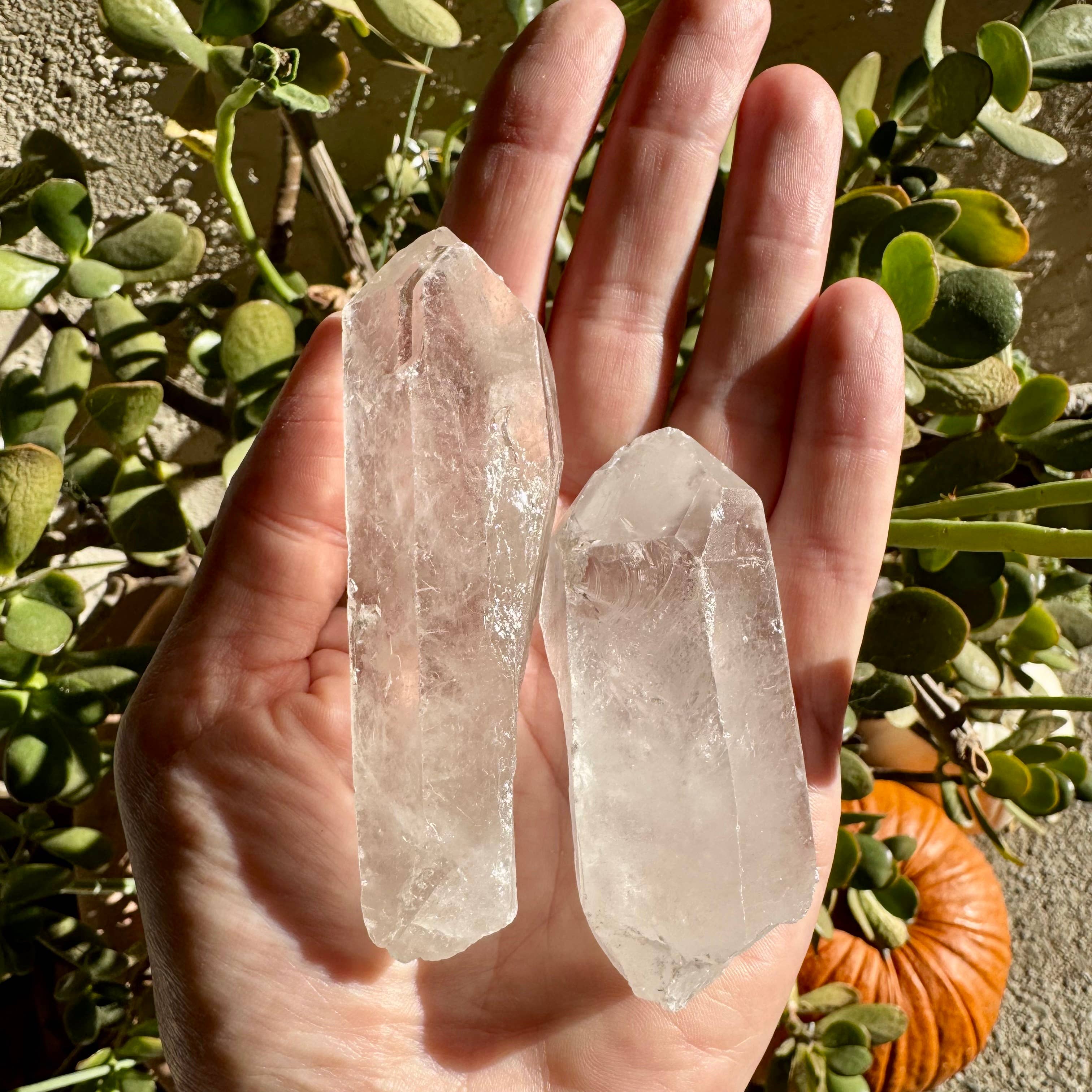 Clear Quartz Point - XL, Unpolished Natural Crystals