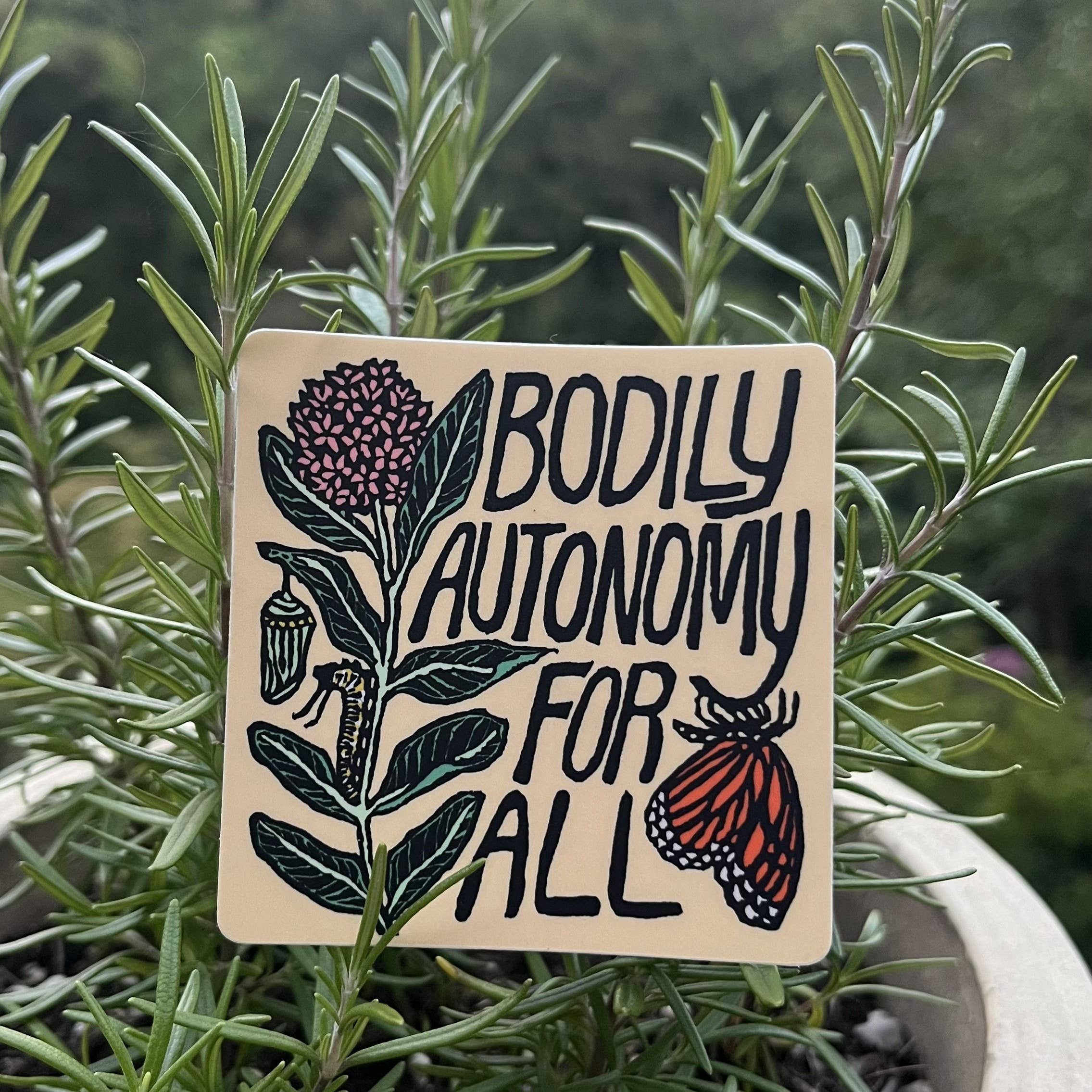 Bodily Autonomy For All Sticker | matte vinyl butterfly