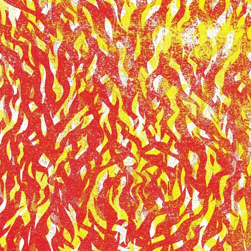 The Bug - Fire