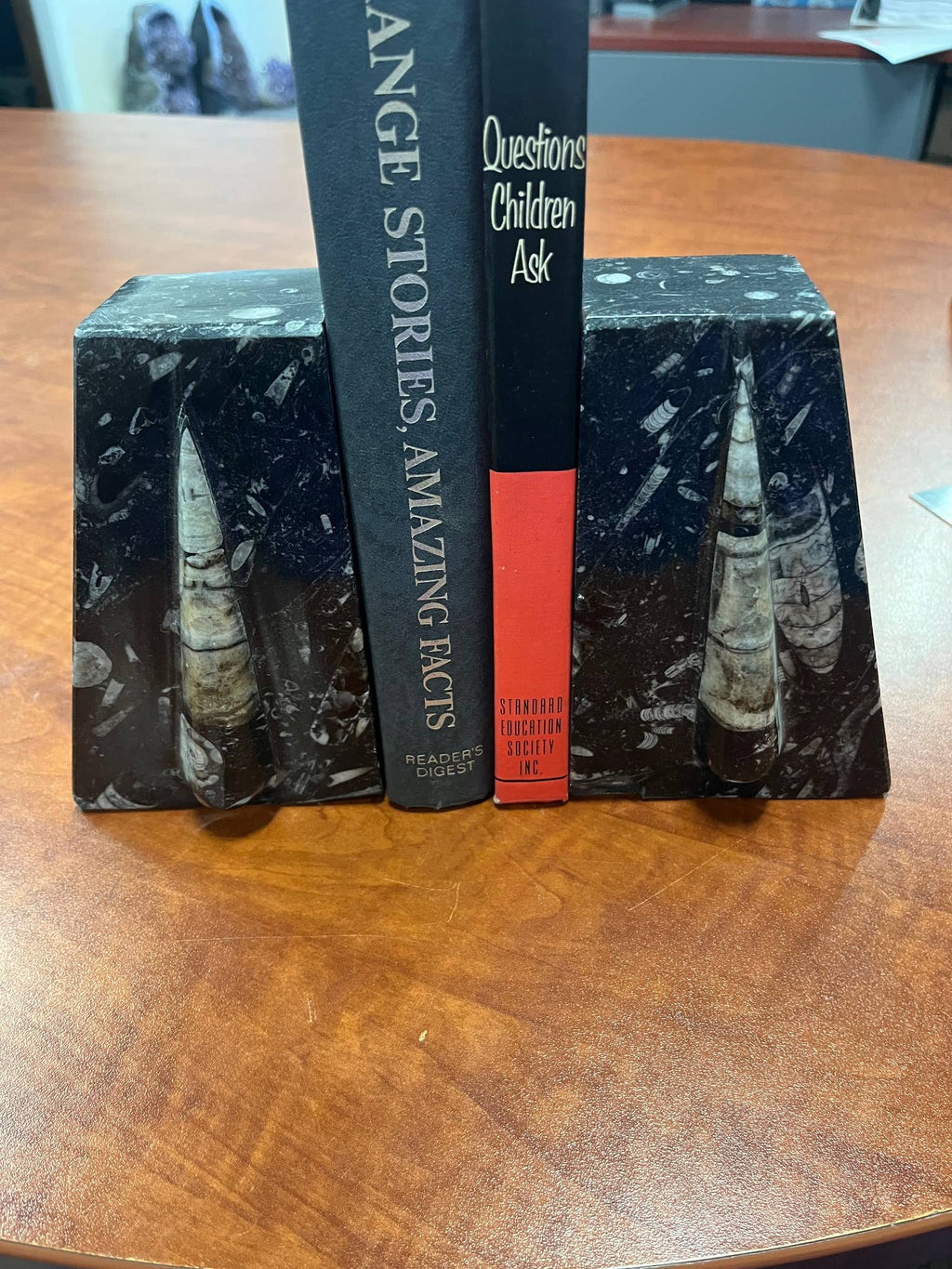 Large Orthoceras Bookends