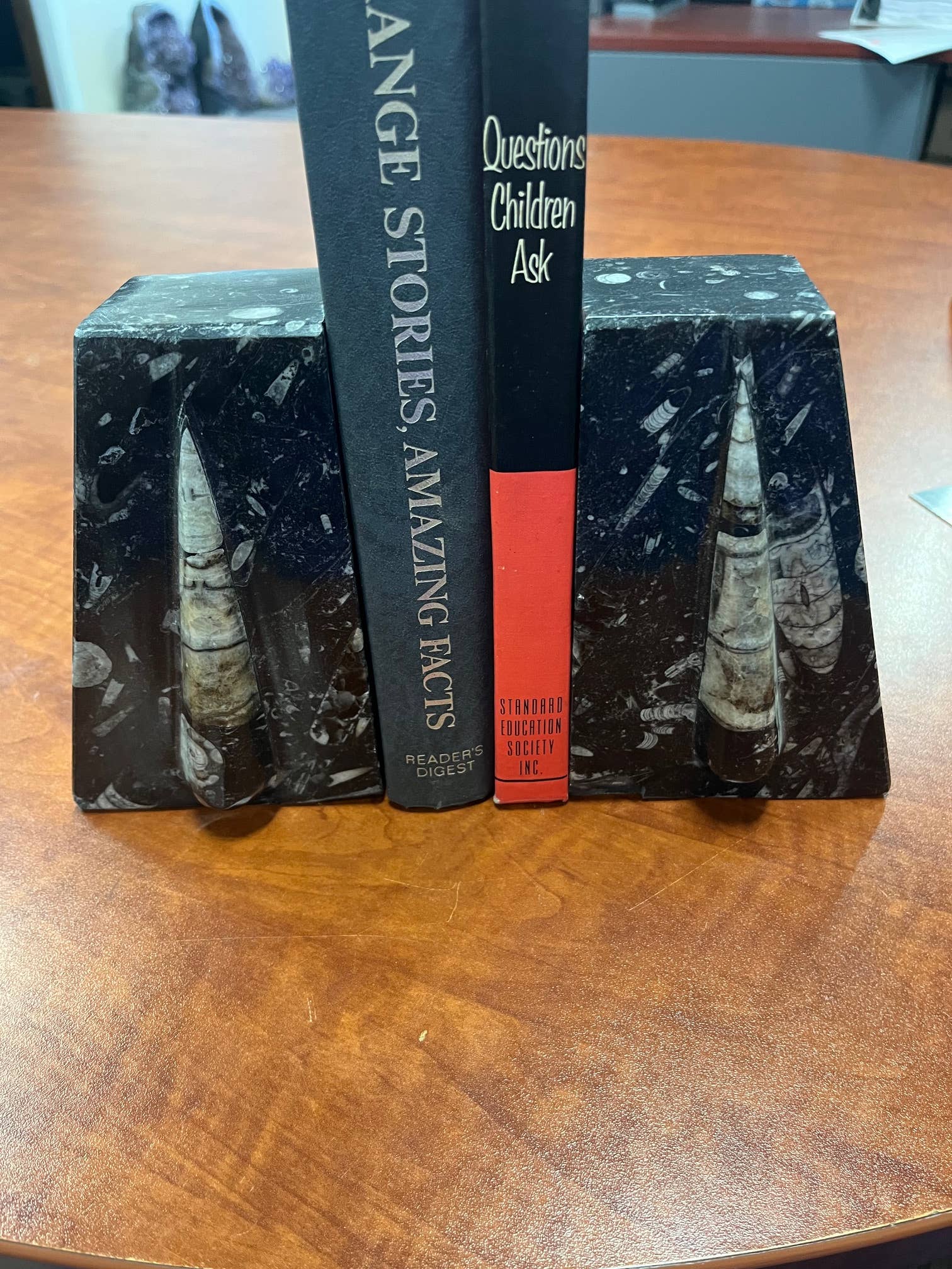 Large Orthoceras Bookends