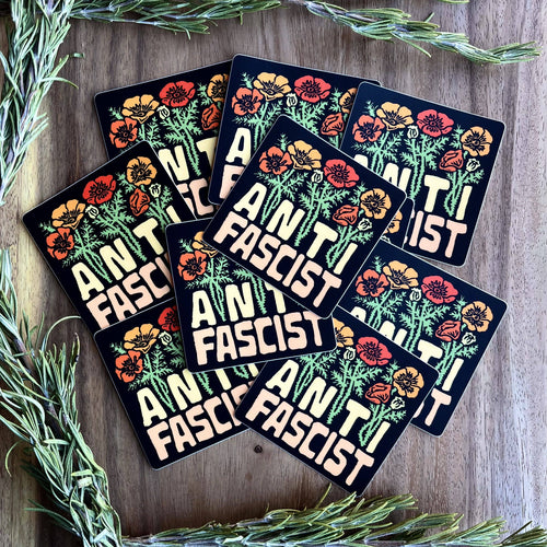 Anti Fascist Sticker | social justice matte vinyl