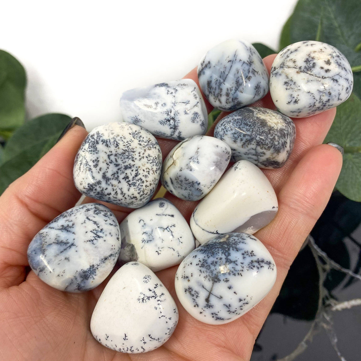 Dendrite Opal Tumbles  0.5lbs Bag - 1 bag
