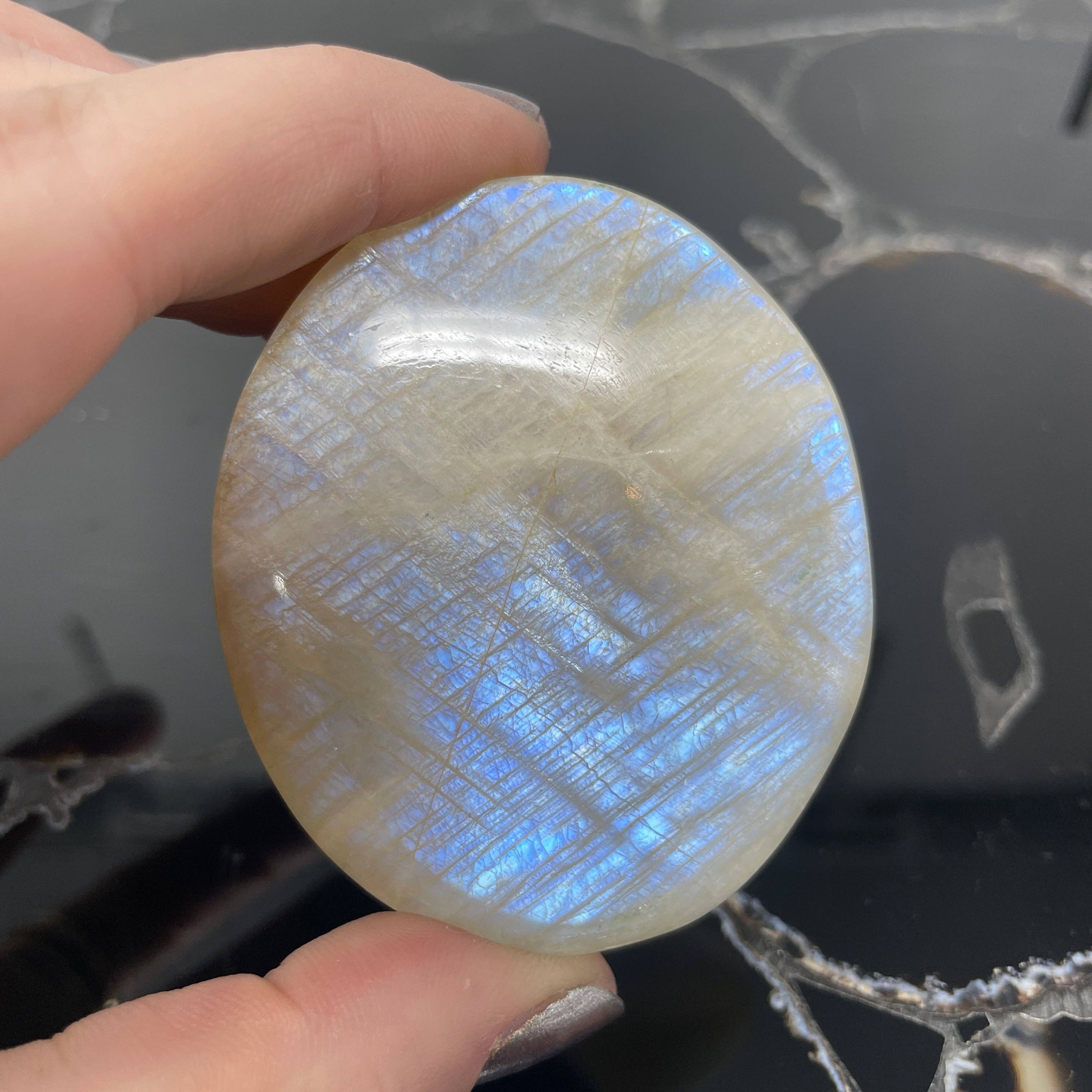 Moonstone Palm