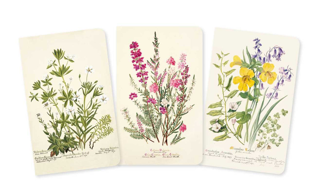 Royal Botanic Garden Edinburgh Set of 3 Mini Notebooks by