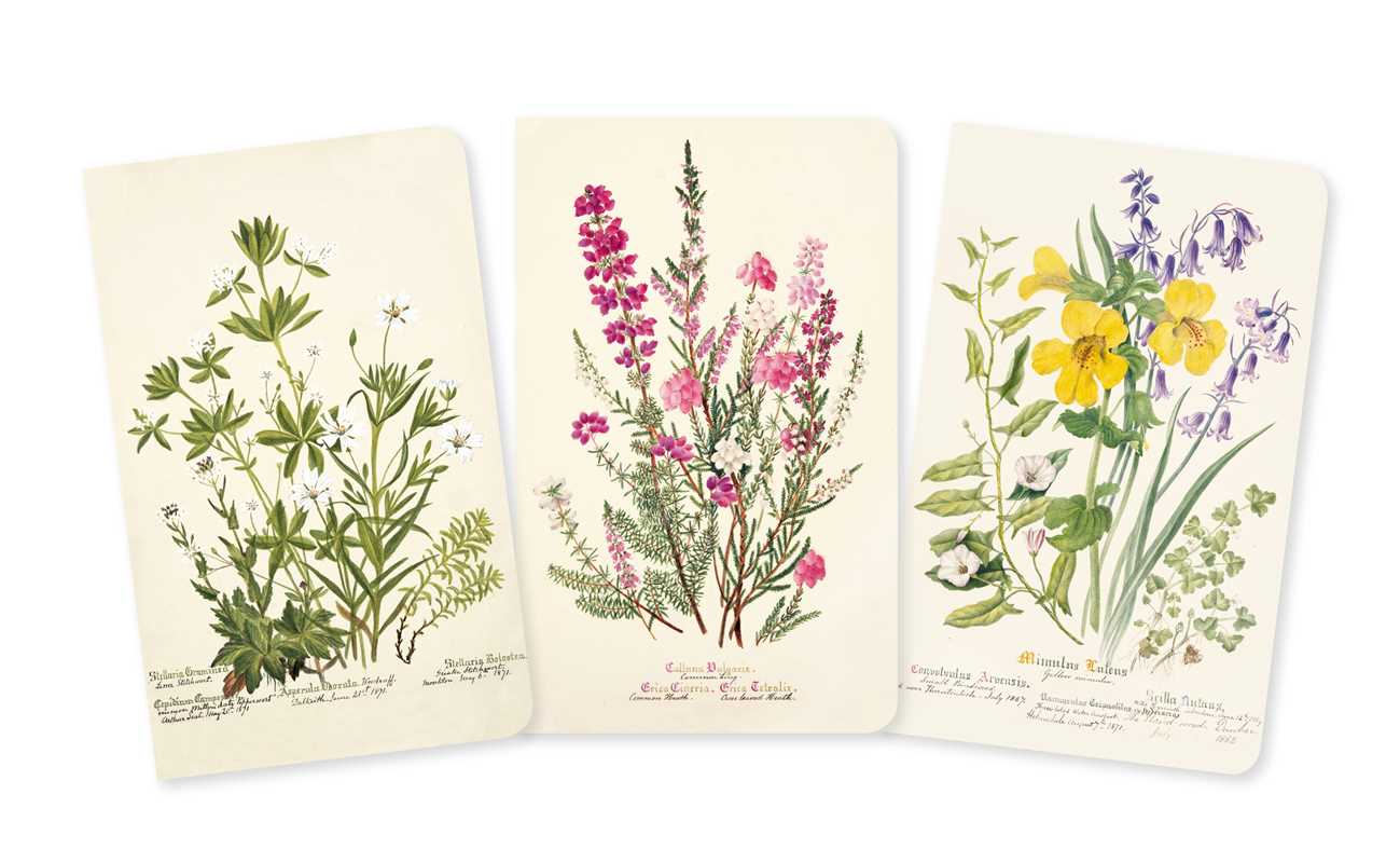 Royal Botanic Garden Edinburgh Set of 3 Mini Notebooks by
